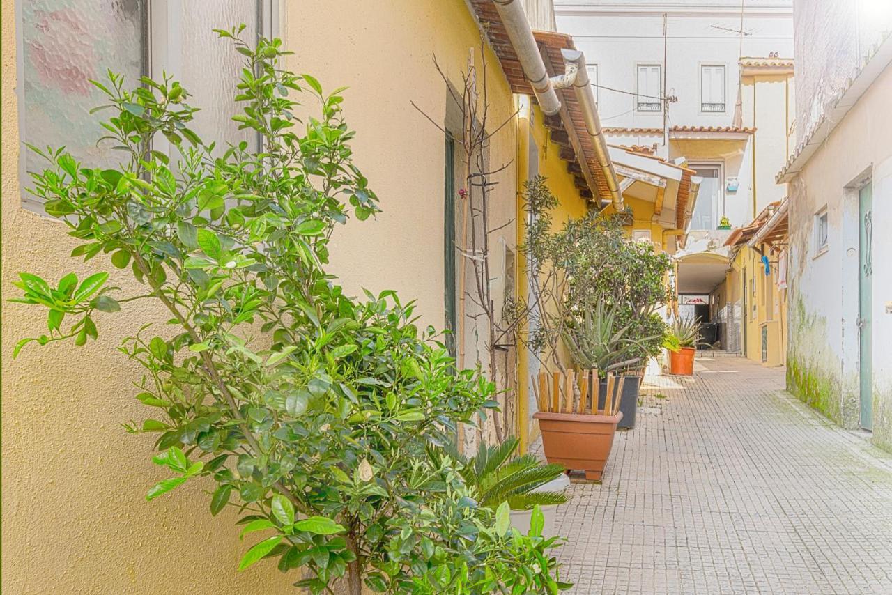 Villa Cosy Duplex House In Downtown Lisboa Extérieur photo